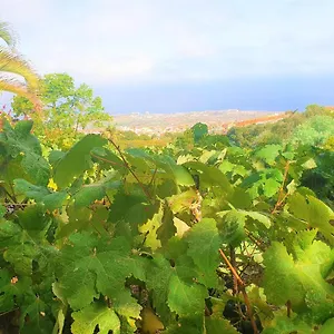 Hébergement de vacances Casa En Ecologica - Wifi, La Orotava
