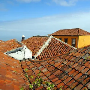 Silene Orotava La Orotava